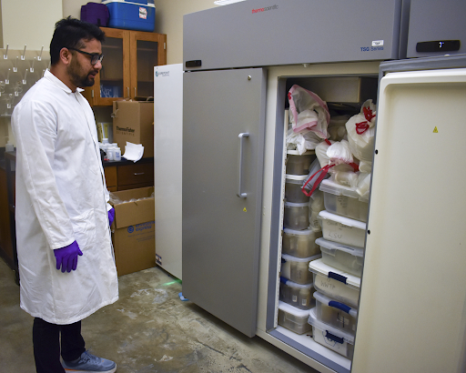 Bikram Subedi’s freezer is full of wastewater samples his team uses for public health data analysis.